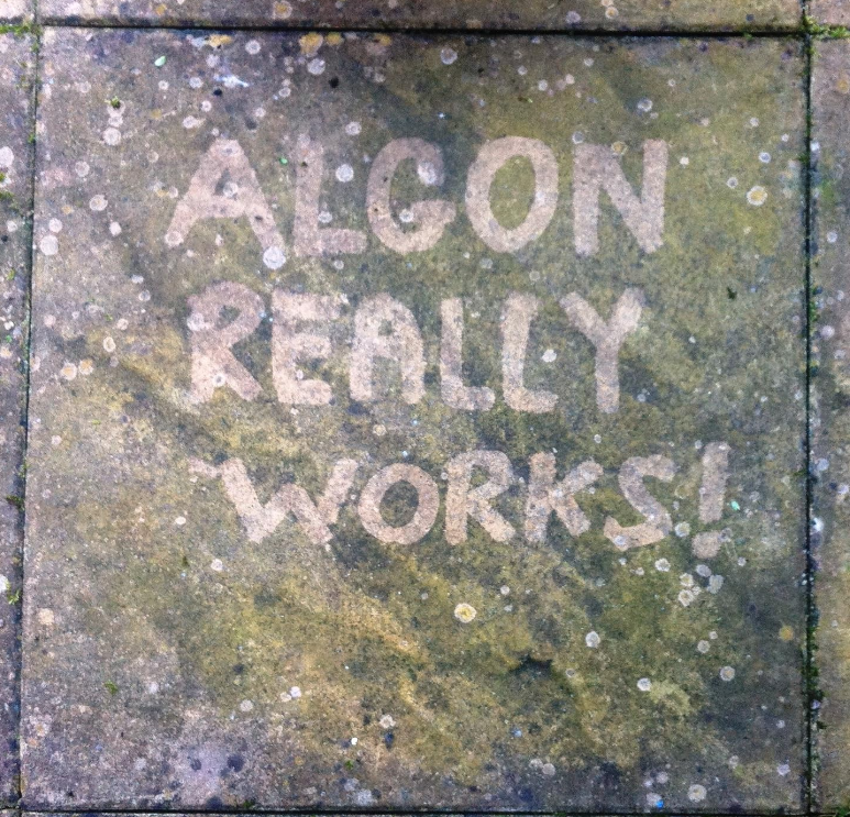 Algon Organic Path and Patio Cleaner Concentrate 2.5 Litre