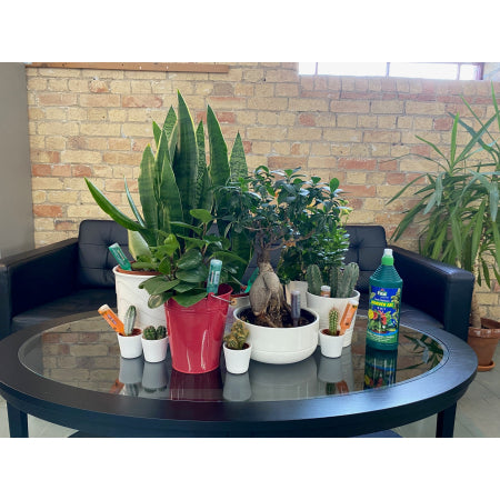 Fito FIT001 Slow Release Wonder Gel 3-In-1 | 1 Litre | Waters, Nourishes & Protects