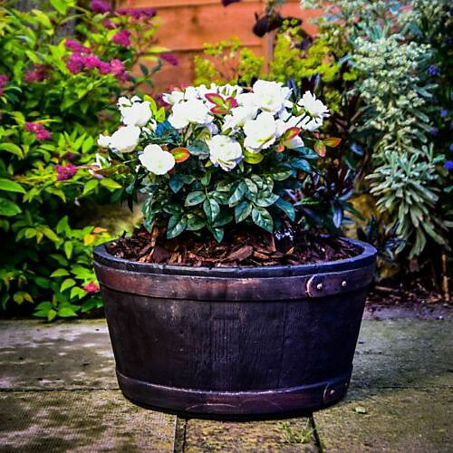 Sankey Oakwood Large 49cm Indoor - Outdoor Barrel Planter