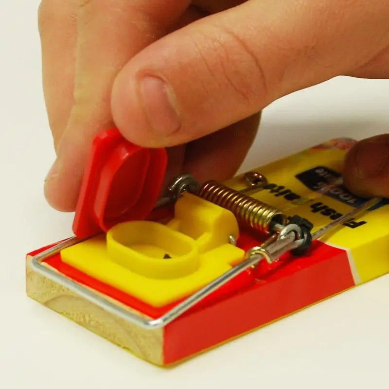 The Big Cheese Fresh Baited Mouse Trap | Indoor Outdoor | Reusable