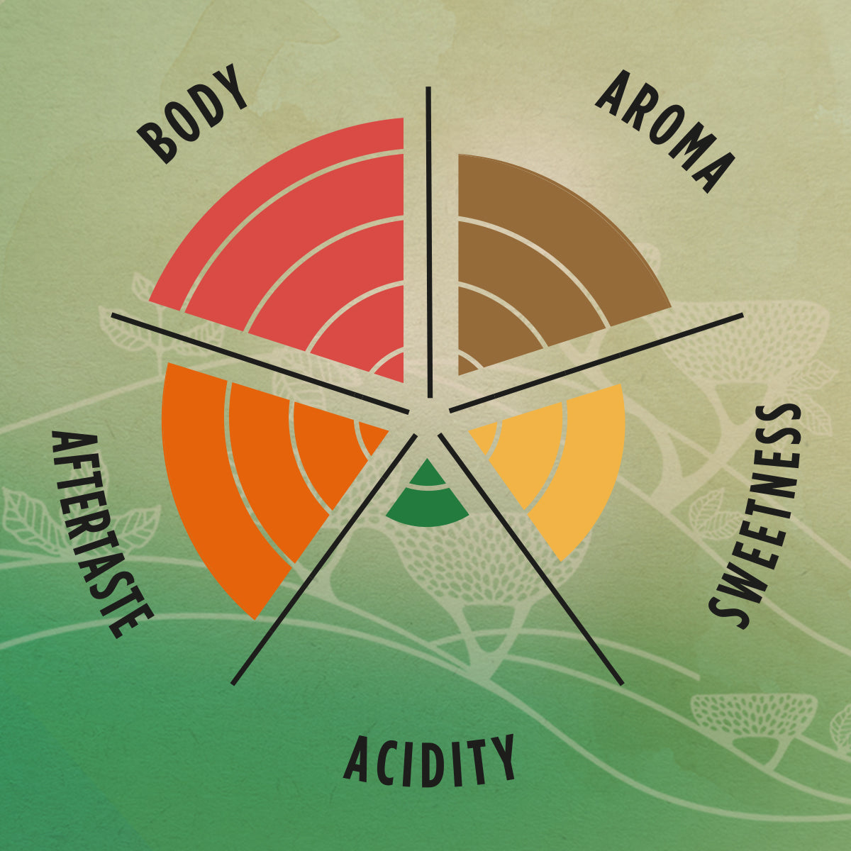 Lavazza Tierra Origins Brasile Coffee Beans 1kg (Green)