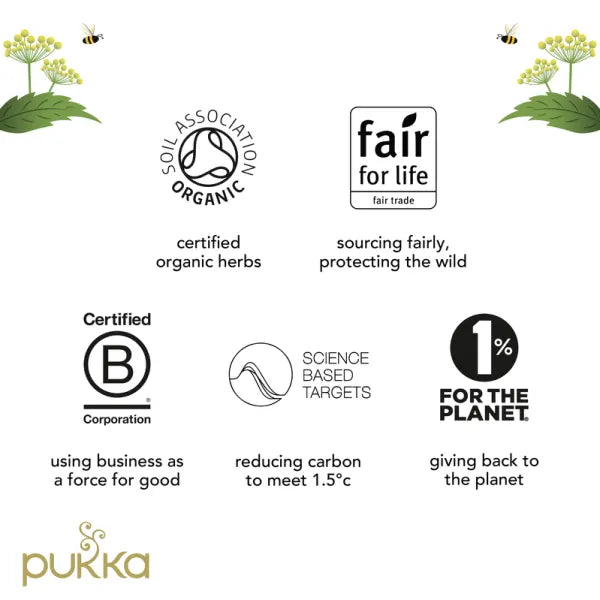 Pukka Tea Lemongrass & Ginger Envelopes 20's