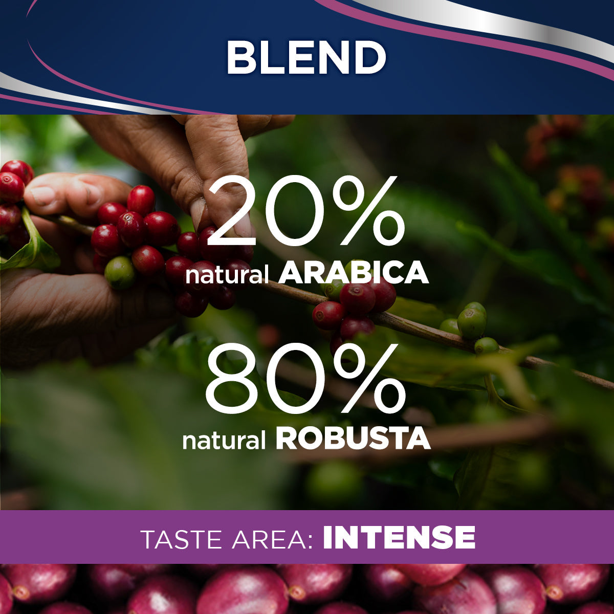 Lavazza Il Filtro Classico Filter Coffee 226.8g