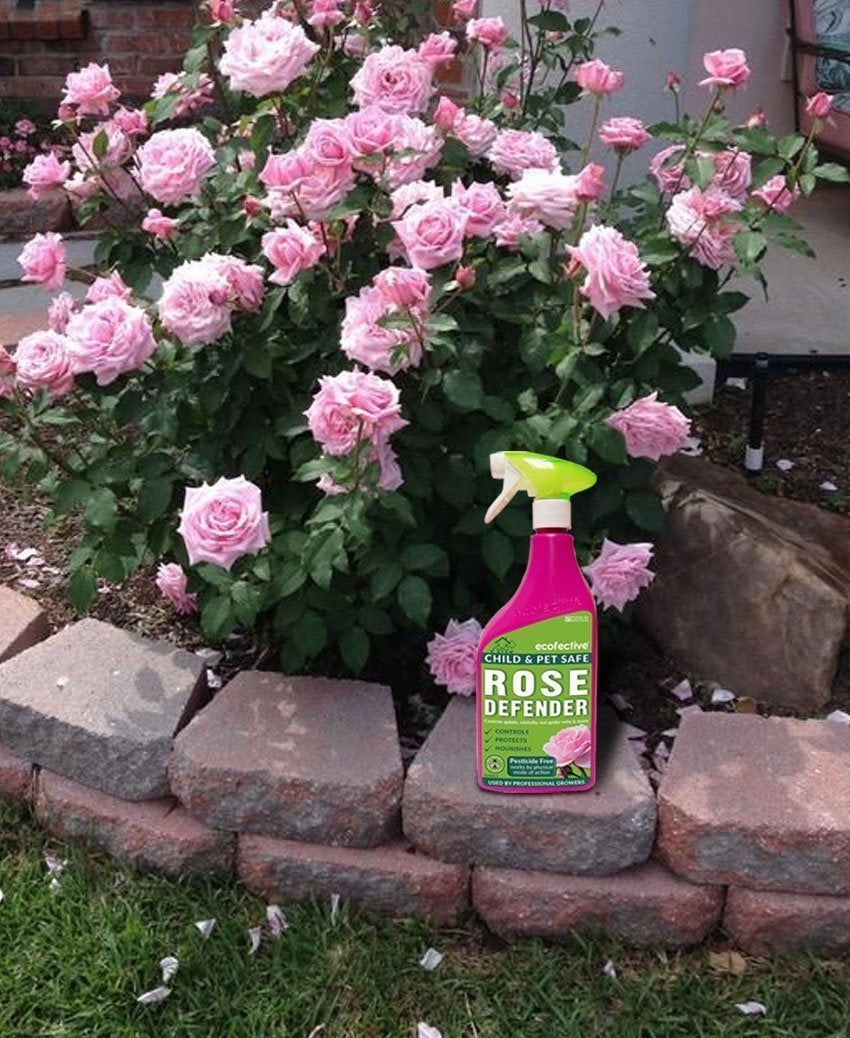 Ecofective Rose Defender RTU 1 Litre