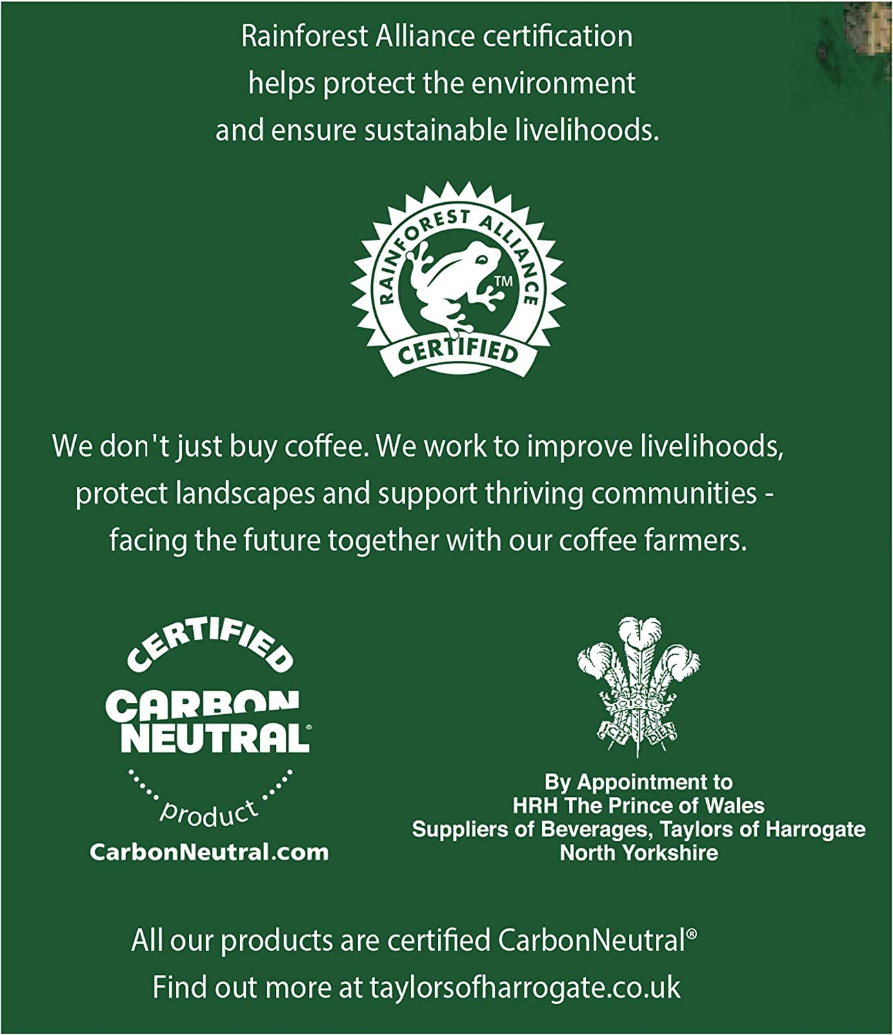 Taylors of Harrogate Rich Italian Coffee Bags Pack 10s