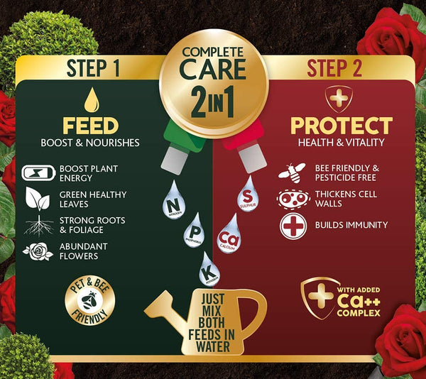 Westland 2 in1 Buxus Feed and Protect 500ml