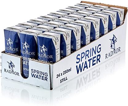 Radnor Hills Spring Still Water 24x250ml Cartons