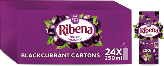 Ribena Ready to Drink Blackcurrant 24x250ml - NWT FM SOLUTIONS - YOUR CATERING WHOLESALER