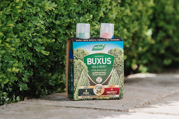 Westland 2 in1 Buxus Feed and Protect 500ml