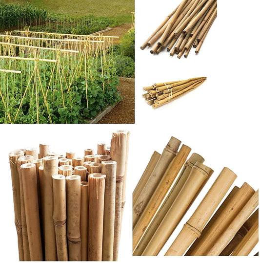 Bamboo Cane 90cm Pack 10  - NWT FM SOLUTIONS - YOUR CATERING WHOLESALER