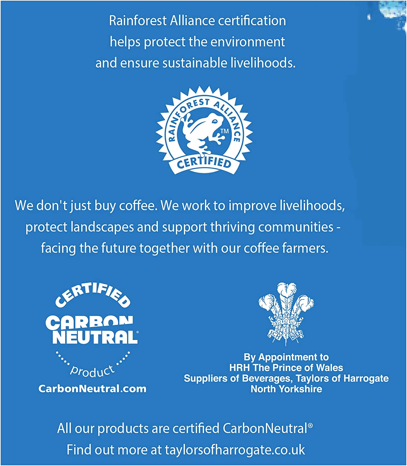 Taylors of Harrogate Decaf Coffee Bags Pack 10s