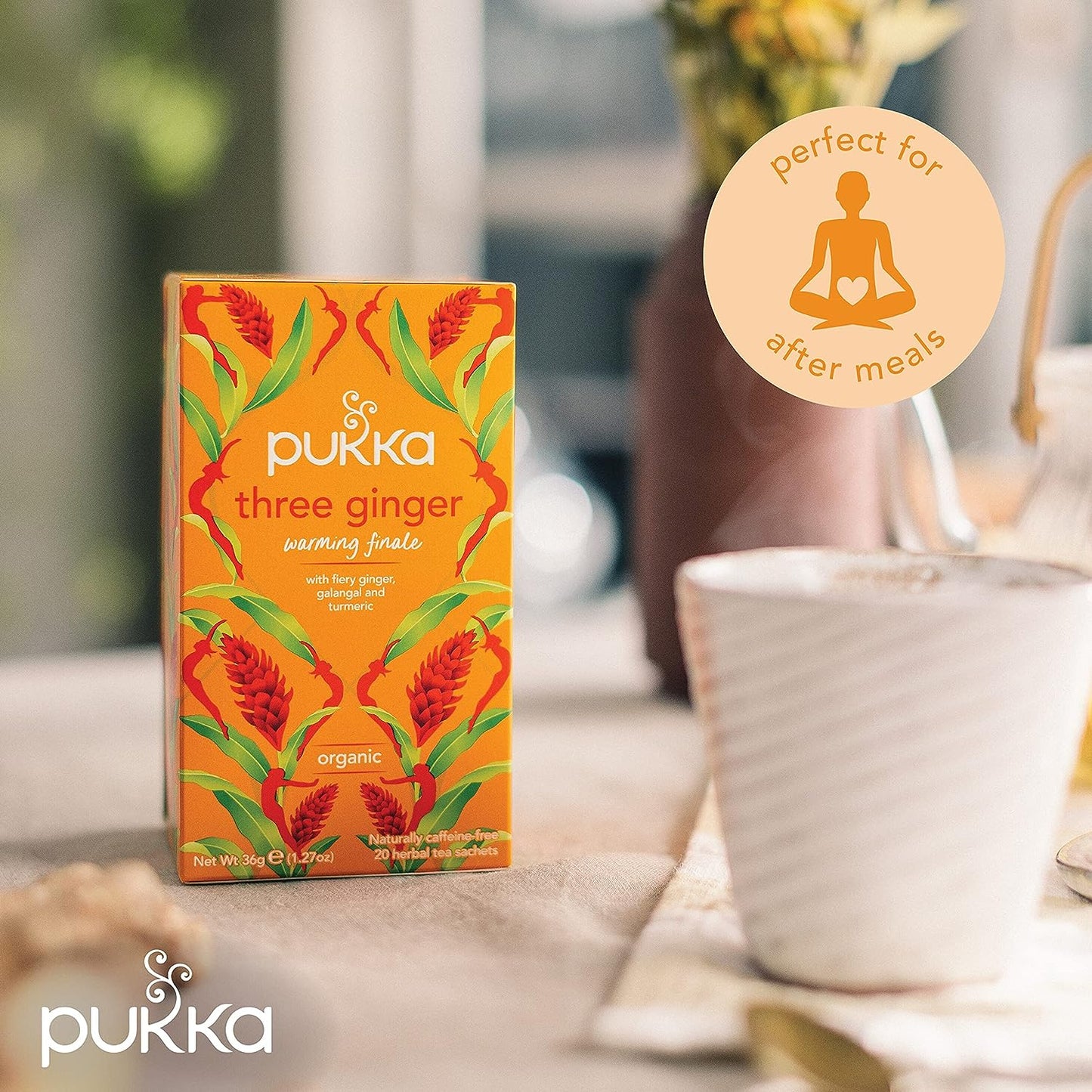 Pukka Tea Three Ginger Envelopes 20's