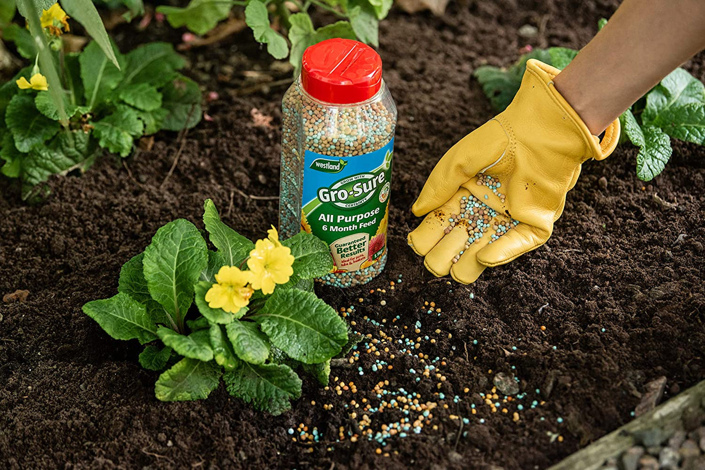 Westland Gro-Sure Slow Release 6 Month Plant food 1kg