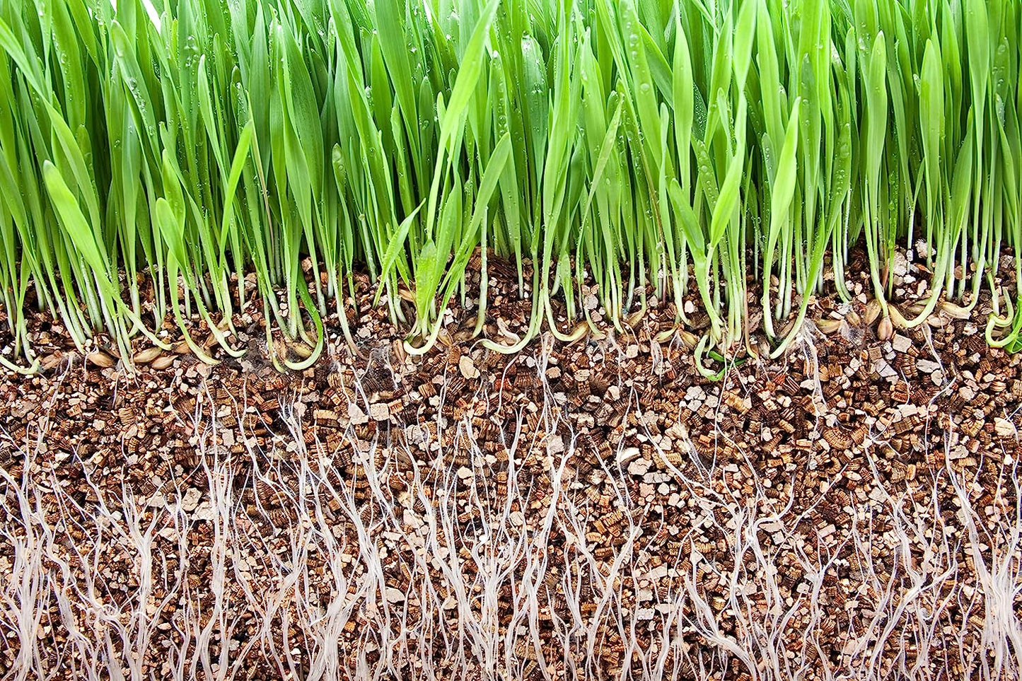 Vitax Vermiculite 20 Litre