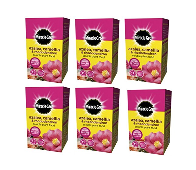 Miracle-Gro Azalea, Camellia & Rhododendron Soluble Plant Food 1kg