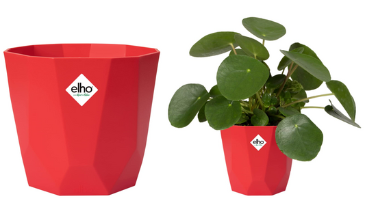 Elho B.For Rock 18cm Display Pot BRILLIANT RED - NWT FM SOLUTIONS - YOUR CATERING WHOLESALER