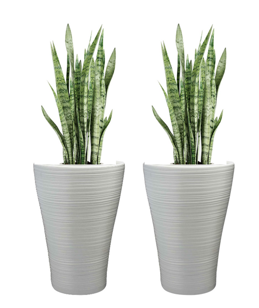 Hereford Cool Grey 47cm Tall Planter - NWT FM SOLUTIONS - YOUR CATERING WHOLESALER