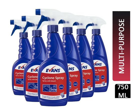 Evans Vanodine Cyclone Spray With Bleach 750ml - NWT FM SOLUTIONS - YOUR CATERING WHOLESALER