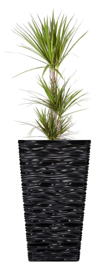 Fixtures Glaze Wave MEDIUM Planter {Black}