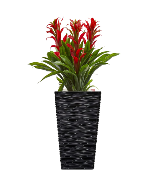 Fixtures Glaze Wave MEDIUM Planter {Black} - NWT FM SOLUTIONS - YOUR CATERING WHOLESALER