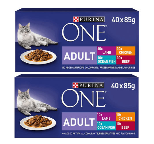 Purina ONE Adult Cat Food Mini Fillets in Gravy 40x85g - NWT FM SOLUTIONS - YOUR CATERING WHOLESALER