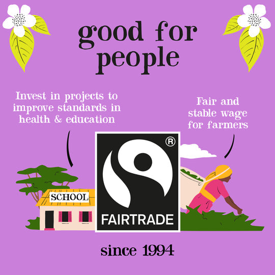 Clipper Fairtrade Organic Decaf Everyday 25 Envelopes