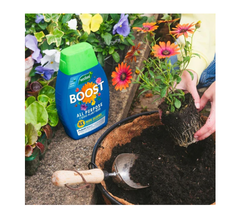 Westland Boost All Purpose Liquid Plant Food 1 Litre