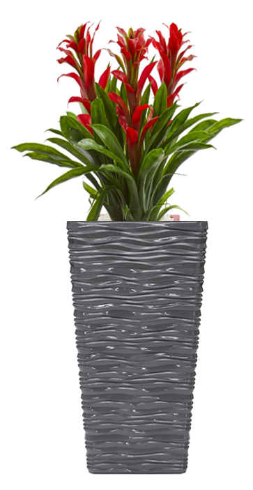 Fixtures Glaze Wave MEDIUM Planter {Grey} - NWT FM SOLUTIONS - YOUR CATERING WHOLESALER
