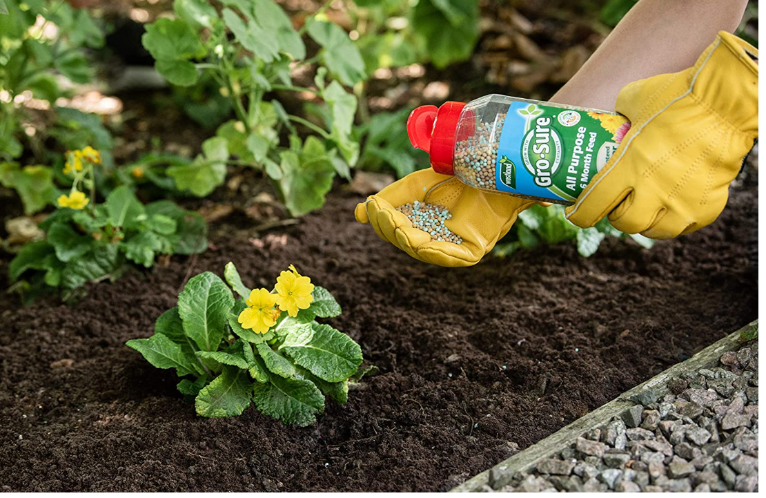 Westland Gro-Sure Slow Release 6 Month Plant food 1kg