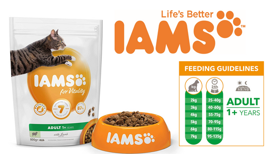 IAMS for Vitality Adult Cat Food Lamb 800g - NWT FM SOLUTIONS - YOUR CATERING WHOLESALER