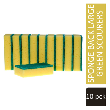 Janit-X Abrasive Sponge Back Large Green Scourer Pack 10's - NWT FM SOLUTIONS - YOUR CATERING WHOLESALER