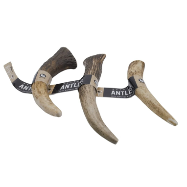 EcoPet Large Real Red Deer (Elk) Dog Chew - NWT FM SOLUTIONS - YOUR CATERING WHOLESALER