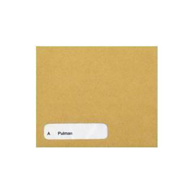 Sage (SE45) Compatible Wage Envelopes Pack 1000's