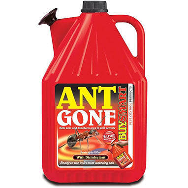 Buysmart Ant Gone Ready to Use 5 Litre - NWT FM SOLUTIONS - YOUR CATERING WHOLESALER