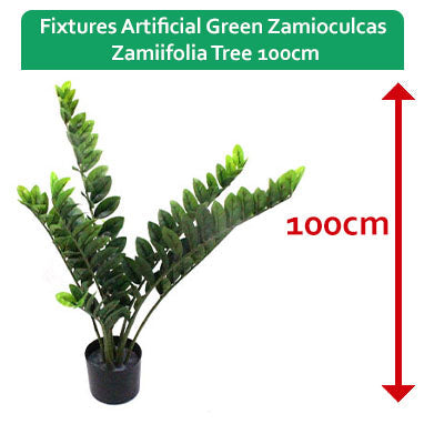 Fixtures Artificial Green Zamioculcas Zamiifolia Tree 100cm - NWT FM SOLUTIONS - YOUR CATERING WHOLESALER