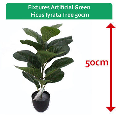 Fixtures Artificial Green Ficus Iyrata Tree 50cm - NWT FM SOLUTIONS - YOUR CATERING WHOLESALER