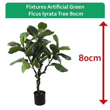 Fixtures Artificial Green Ficus Iyrata Tree 80cm - NWT FM SOLUTIONS - YOUR CATERING WHOLESALER
