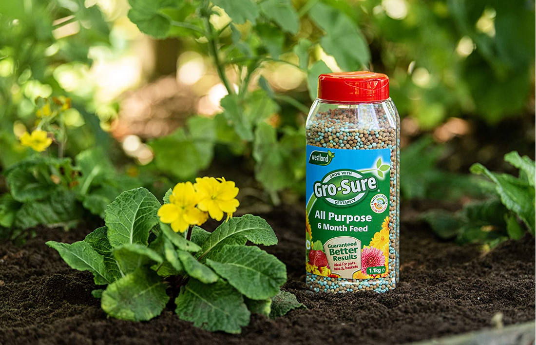 Westland Gro-Sure Slow Release 6 Month Plant food 1kg