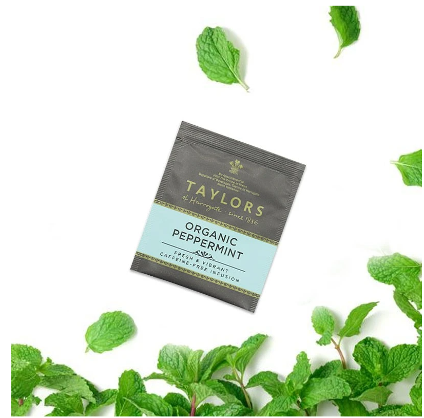Taylors of Harrogate Peppermint Enveloped Tea Pack 100"s