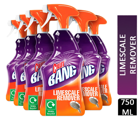 Cillit Bang Limescale Remover 750ml - NWT FM SOLUTIONS - YOUR CATERING WHOLESALER