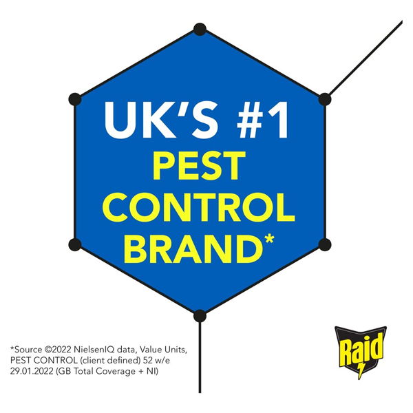 Raid Fly and Wasp Killer Aerosol 300ml
