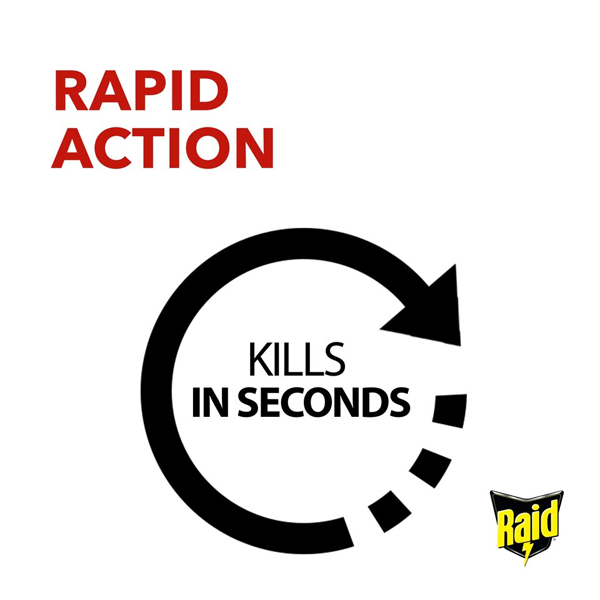Raid Fly and Wasp Killer Aerosol 300ml