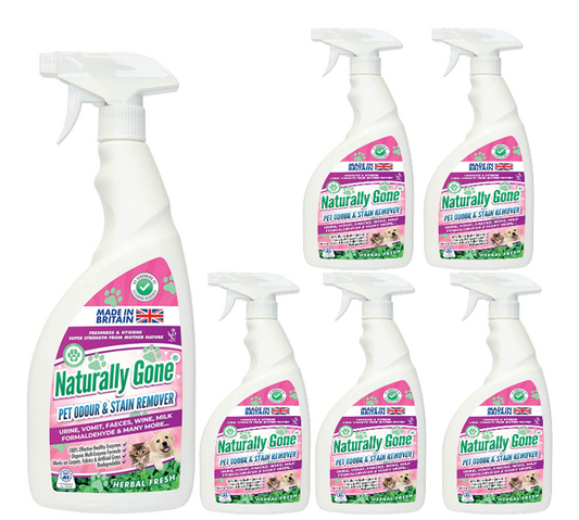 Naturally Gone Pet Odour & Stain Remover Herbal Fresh 750ml - NWT FM SOLUTIONS - YOUR CATERING WHOLESALER