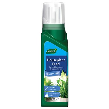 Westland Houseplant Feed Concentrate 200ml