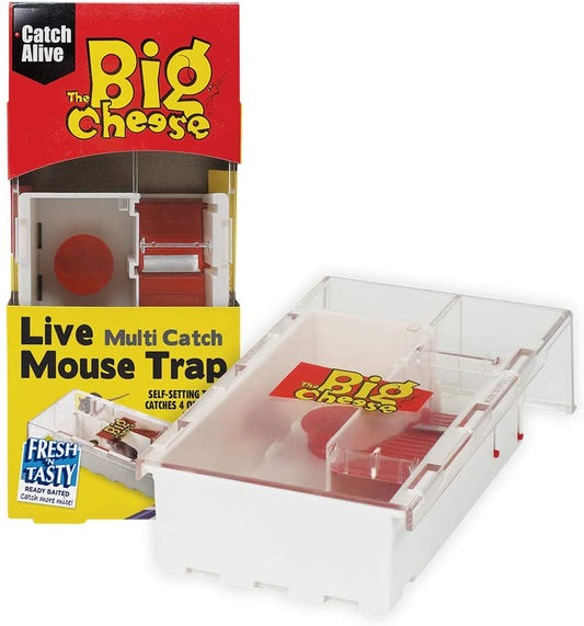 Big Cheese Pre-Baited Multicatch Mouse Trap {STV162} - NWT FM SOLUTIONS - YOUR CATERING WHOLESALER