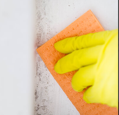 Janit-X Professional Mould & Mildew Spray 750ml