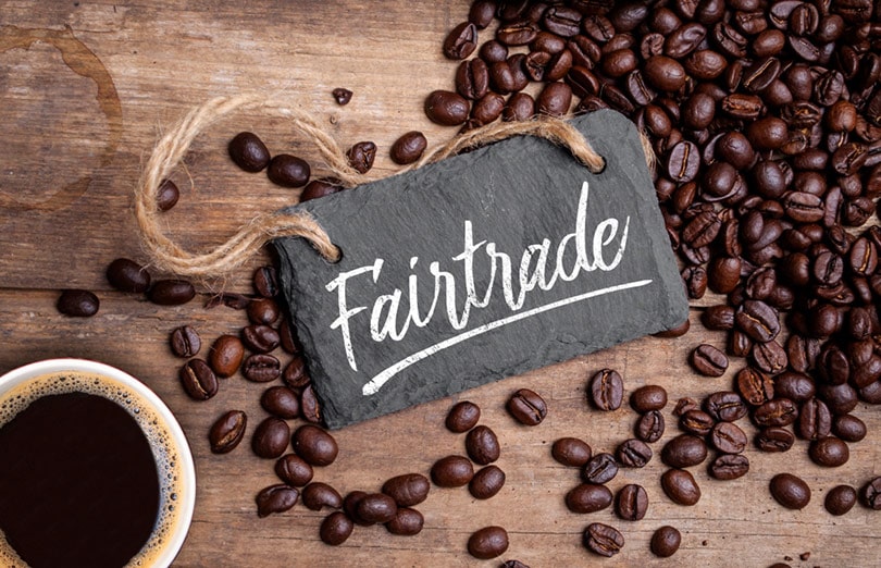 Clipper Fairtrade Medium Roast Organic Arabica Coffee 500g