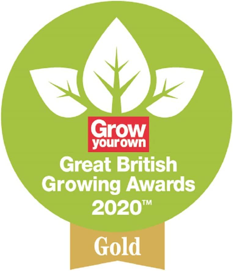 Kew Gardens {Spear & Jackson} Leather Palm Green Large Gloves (Pair) - NWT FM SOLUTIONS - YOUR CATERING WHOLESALER