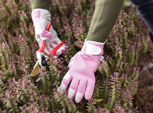 Spear & Jackson Kew Pink Gardening Gloves Medium - NWT FM SOLUTIONS - YOUR CATERING WHOLESALER