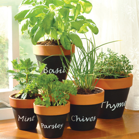 Plastikote Chalkboard Black Paint 400ml Twist and Spray Can | Renovate, Repair or Create a new surface